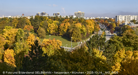 15.10.2025 - goldener Oktober mit Blick auf das Marx-Zentrum und Wohnanlage am Karl-Marx-Ring 52-62